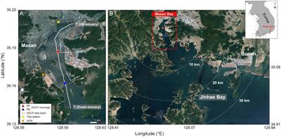 Contribution of coastal seiches to sediment transport in a microtidal semi-enclosed bay